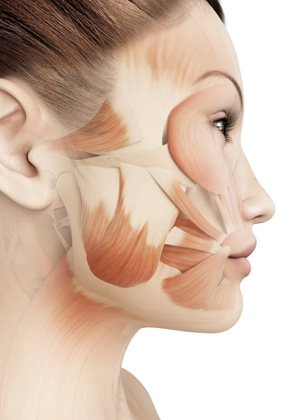 Orofacial Myofunctional Therapy Treatment of Charlottesville